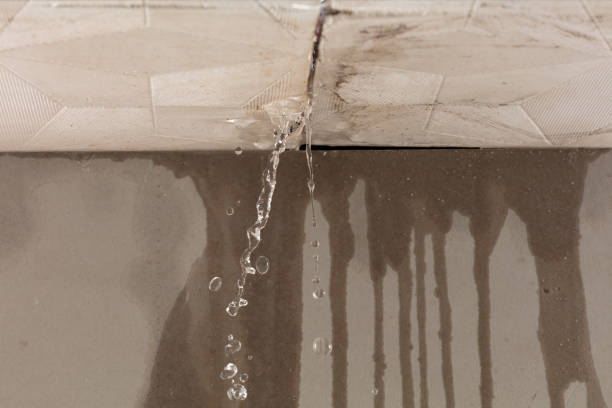 Professional Burst Pipe Cleanup technician working in Holcomb, KS